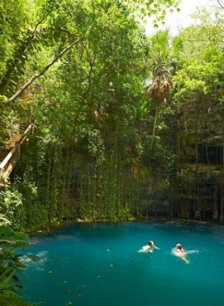  Dip in the cenote